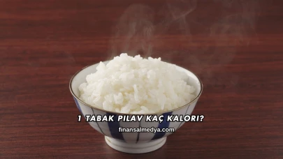 1 Tabak Pilav Kaç Kalori?
