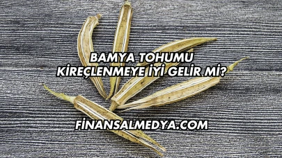 Bamya Tohumu Kireçlenmeye İyi Gelir mi?