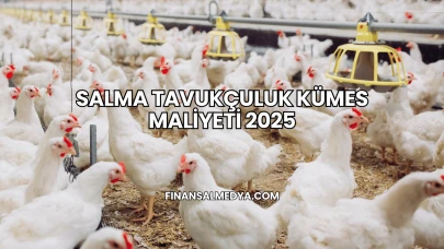 Salma Tavukçuluk Kümes Maliyeti 2025