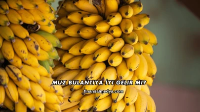 Muz Bulantıya İyi Gelir mi?