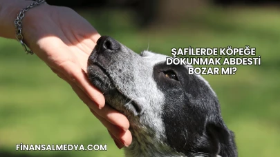 Şafilerde Köpeğe Dokunmak Abdesti Bozar mı?