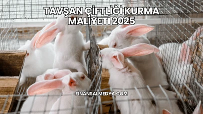 Tavşan Çiftliği Kurma Maliyeti 2025