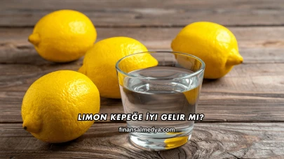 Limon Kepeğe İyi Gelir mi?