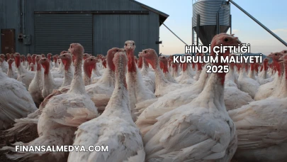 Hindi Çiftliği Kurulum Maliyeti 2025