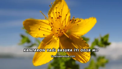 Kantaron Yağı Basura İyi Gelir mi?