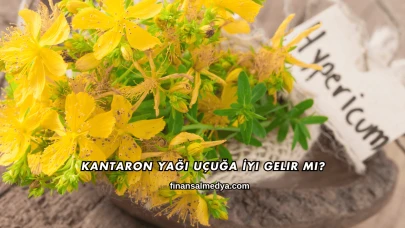 Kantaron Yağı Uçuğa İyi Gelir mi?