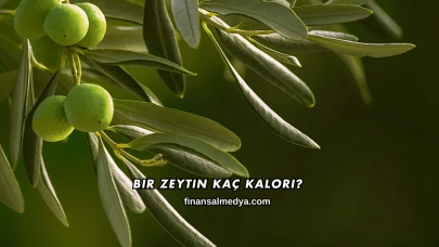 Bir Zeytin Kaç Kalori?