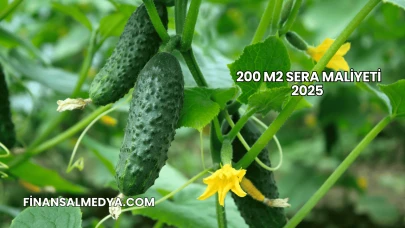 200 m2 Sera Maliyeti 2025