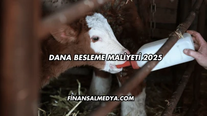 Dana Besleme Maliyeti 2025
