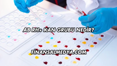 AB Rh+ Kan Grubu Nedir?