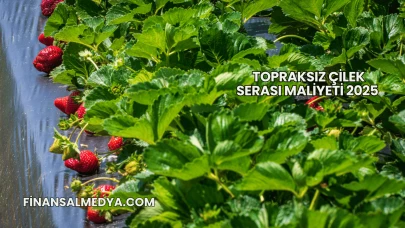 Topraksız Çilek Serası Maliyeti 2025