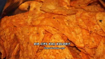 Bir Cips Kaç Kalori?