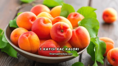 1 Kayısı Kaç Kalori