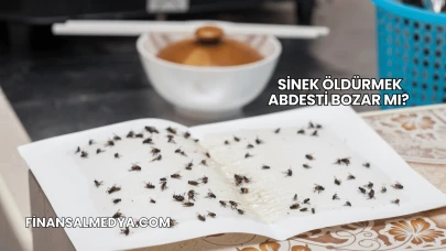 Sinek Öldürmek Abdesti Bozar mı?
