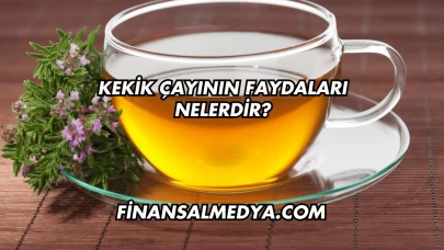Kekik Çayının Faydaları Nelerdir?