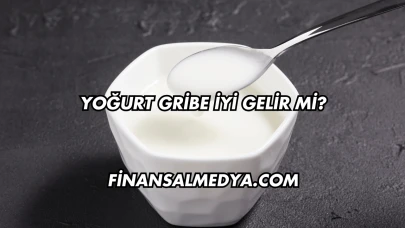 Yoğurt Gribe İyi Gelir mi?