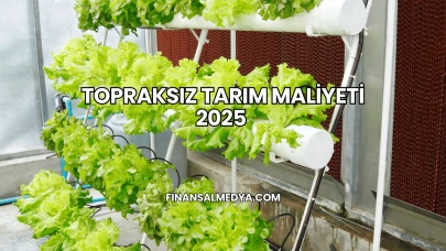 Topraksız Tarım Maliyeti 2025
