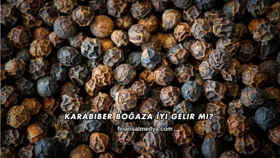 Karabiber Boğaza İyi Gelir mi?
