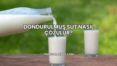 Dondurulmuş Süt Nasıl Çözülür?