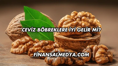 Ceviz Böbreklere İyi Gelir mi?