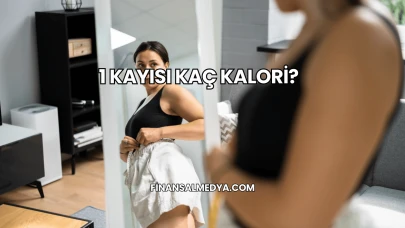 1 Kayısı Kaç Kalori?