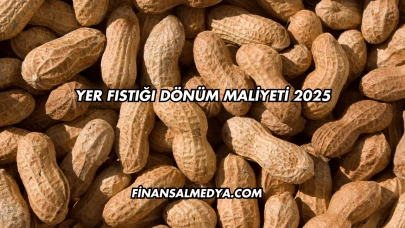 Yer Fıstığı Dönüm Maliyeti 2025