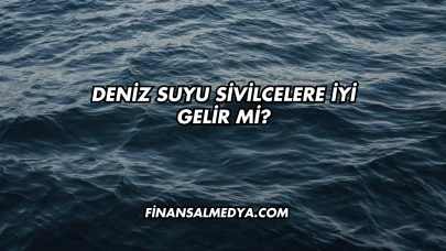 Deniz Suyu Sivilcelere İyi Gelir mi?
