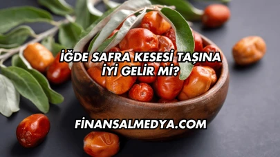 İğde Safra Kesesi Taşına İyi Gelir mi?