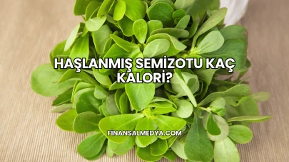 Haşlanmış Semizotu Kaç Kalori?