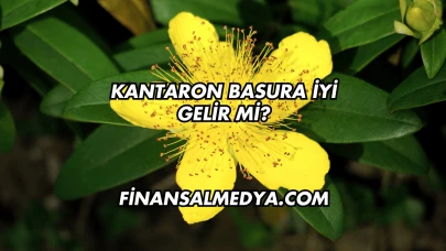 Kantaron Basura İyi Gelir mi?