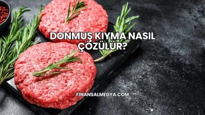 Donmuş Kıyma Nasıl Çözülür?