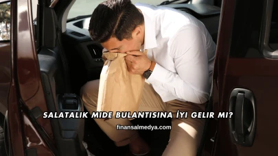 Salatalık Mide Bulantısına İyi Gelir mi?