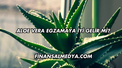 Aloe Vera Egzamaya İyi Gelir mi?