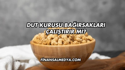 Dut Kurusu Bağırsakları Çalıştırır mı?