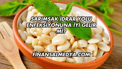 Sarımsak İdrar Yolu Enfeksiyonuna İyi Gelir mi?