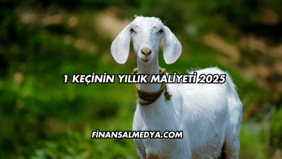 1 Keçinin Yıllık Maliyeti 2025
