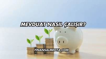 Mevduat Nasıl Çalışır?