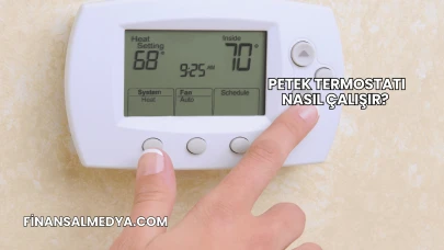 Petek Termostatı Nasıl Çalışır?