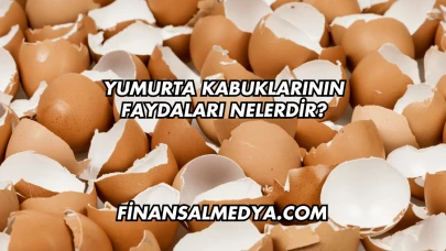 Yumurta Kabuklarının Faydaları Nelerdir?