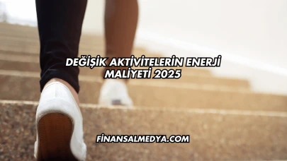 Değişik Aktivitelerin Enerji Maliyeti 2025