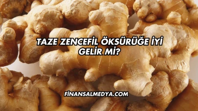 Taze Zencefil Öksürüğe İyi Gelir mi?