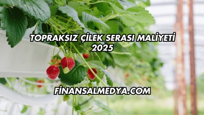 Topraksız Çilek Serası Maliyeti 2025