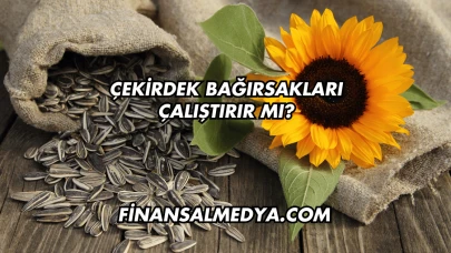 Çekirdek Bağırsakları Çalıştırır mı?