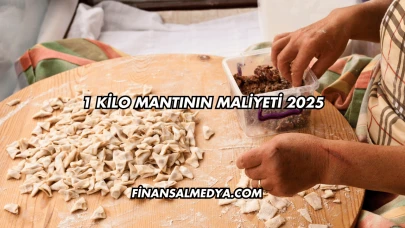 1 Kilo Mantının Maliyeti 2025
