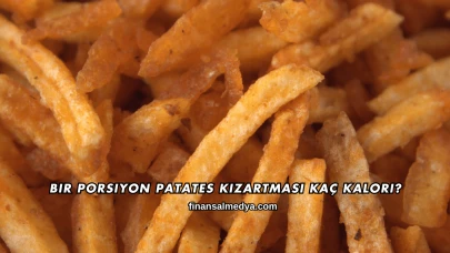 Bir Porsiyon Patates Kızartması Kaç Kalori?