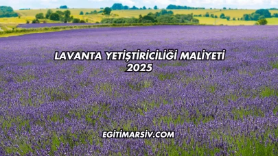 Lavanta Yetiştiriciliği Maliyeti 2025