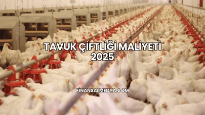 Tavuk Çiftliği Maliyeti 2025