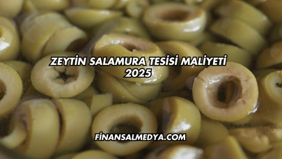 Zeytin Salamura Tesisi Maliyeti 2025