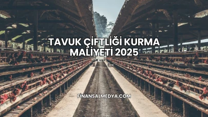 Tavuk Çiftliği Kurma Maliyeti 2025