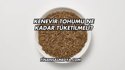 Kenevir Tohumu Ne Kadar Tüketilmeli?